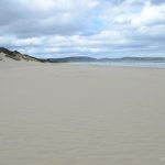 Strand bei The Neck (Brunny Island Tasmanien)