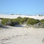 Wege durch die Sanddünen
