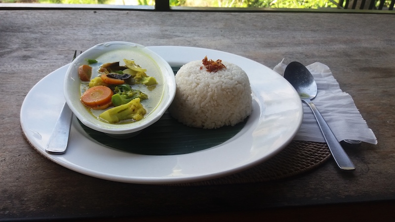 Chicken Curry mit Gemüse