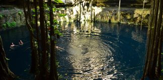 Cenoten in Yucatan Mexiko zum Schwimmen