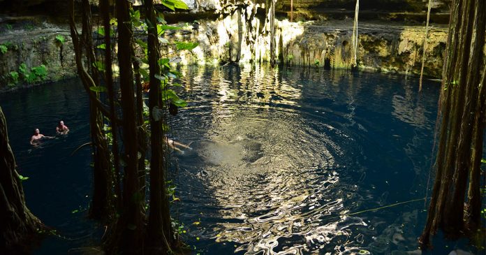 Cenoten in Yucatan Mexiko zum Schwimmen