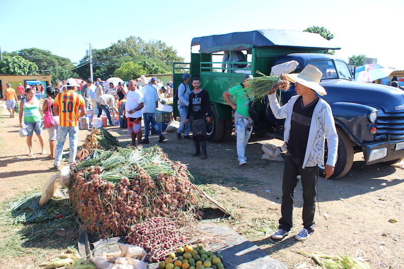 Frisches Obst und Gemüse auf dem Markt in Kuba
