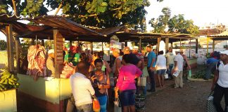 Kuba: Frisches Obst, Gemüse und Fleisch auf dem Markt einkaufen Einkaufen auf den Märkten Kubas