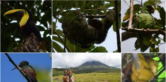 La Fortuna in Costa Rica und die Tierwelt