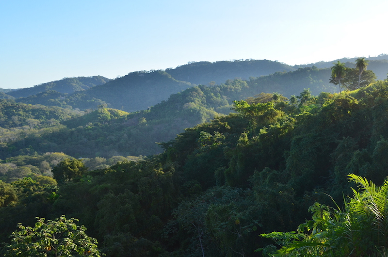 Tiefer Dschungel Costa Ricas