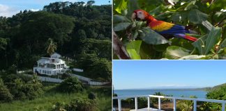 Haus in Costa Rica am Meer und Dschungel mieten
