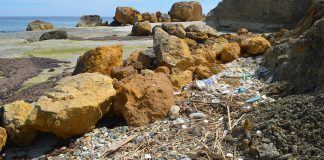 Gozo: Plastikmüll an den Küsten & Stränden