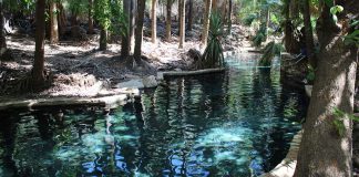 Tag 14 – Mataranka und die warmen Quellen im Outback Mataranka und warme Quellen im Outback Australien