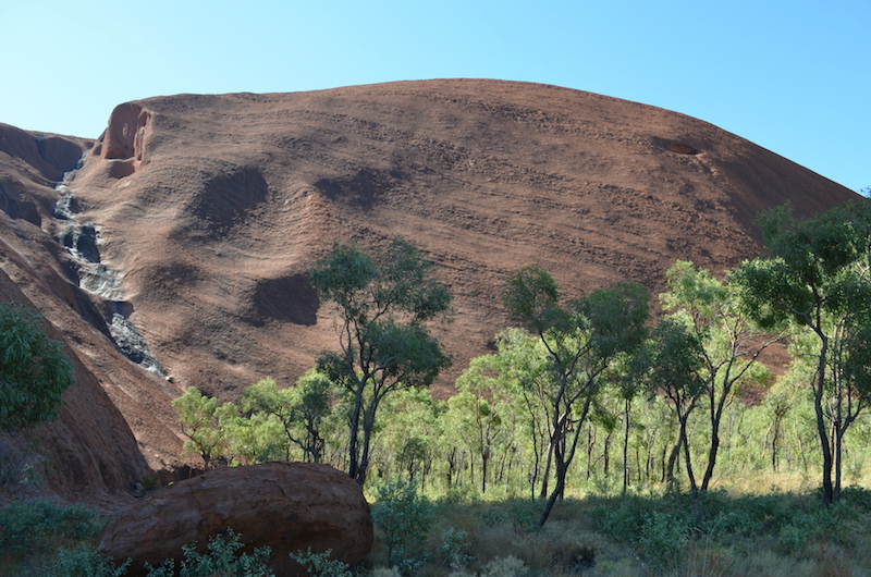 Die Grüne Seite vom Uluru