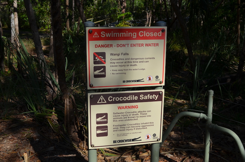 Krokodile in Australien