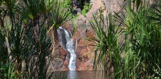 Wangi Falls in Nord Australien