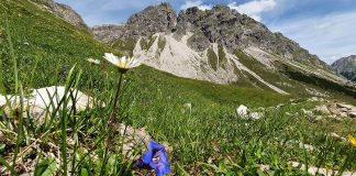 Österreich: Rundwanderung im Kleinwalsertal am Großen Widderstein Wandern am Widderstein in Kleinwalsertal Österreich