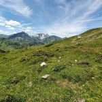 Ausblick bei Widderstein in die Alpen
