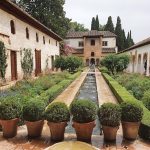 Springbrunnen Wasser Alhambra Granada Spanien