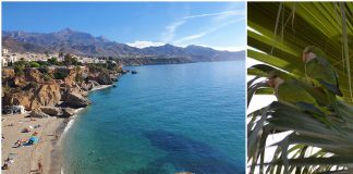 Torrox costa Nerja 2022