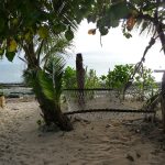 Fidschi-fiji-beachcomber-entdecken-reisen-haegematte