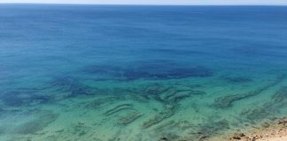 Algarve: Wandern von Salema über Burgau bis Luz Wandern in der Algarve